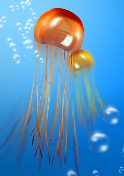 Creation of Jellyfish: Step 6